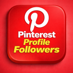 PINTEREST  PROFILE FOLLOWERS