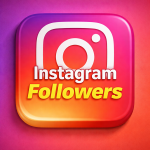 INSTAGRAM PROFILE FOLLOWERS