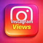 INSTAGRAM WIEWS